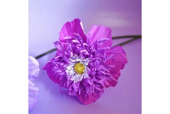 Sugar Plum Poppy 3D SVG Paper Flowers Review